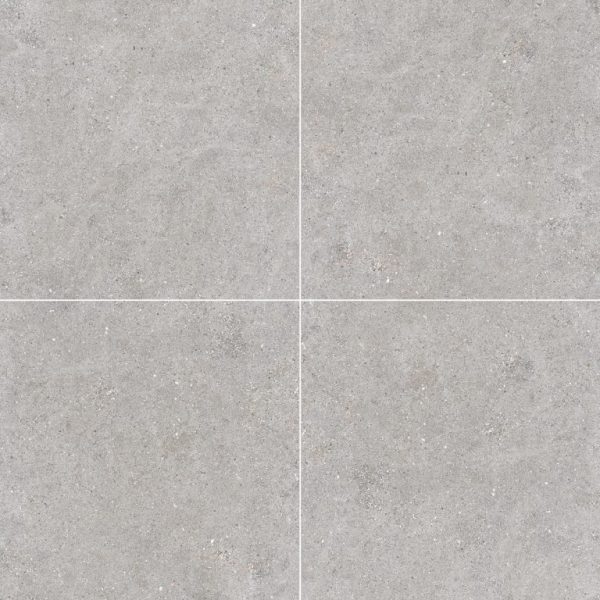 Galaxy Light Grey 600 x 600 Lappato